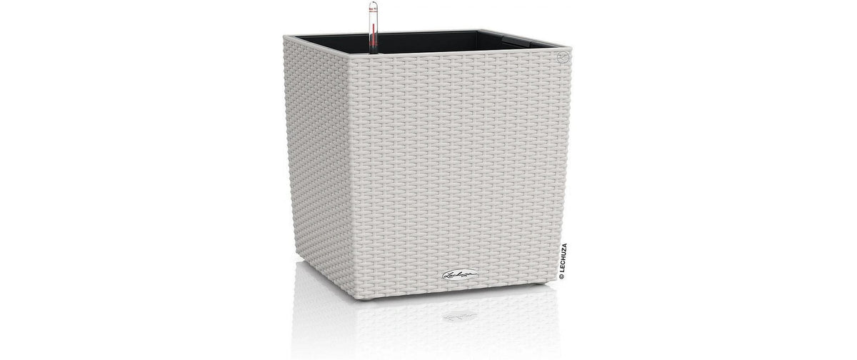 CUBE Cottage 50