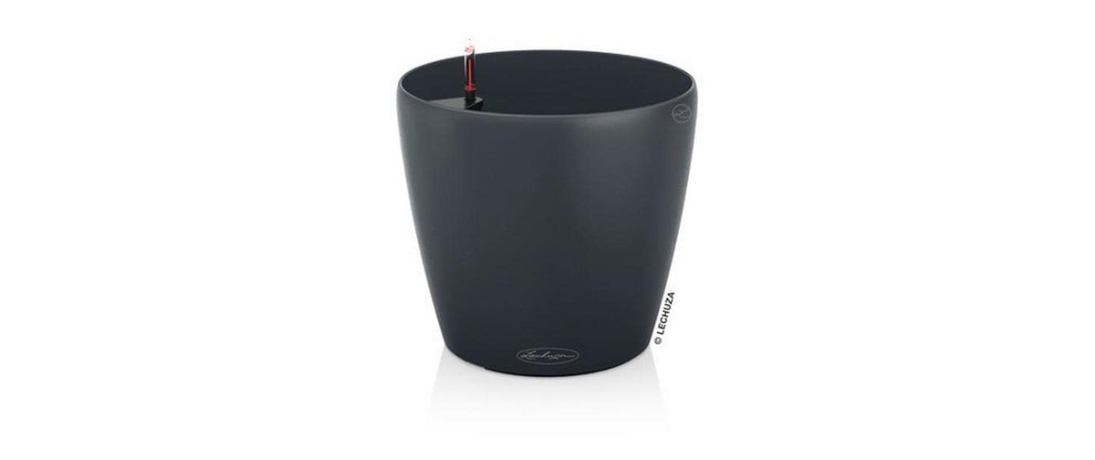 CLASSICO Color 60
