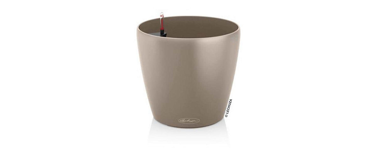 CLASSICO Color 18
