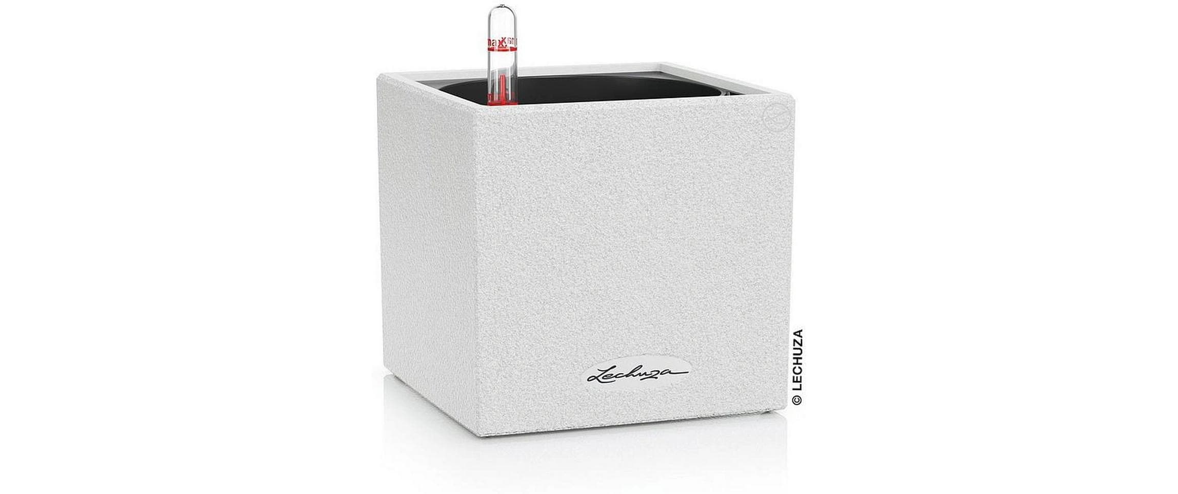 CANTO Stone 30 low