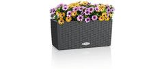 Lechuza | BALCONERA Cottage 40 | 6 l
