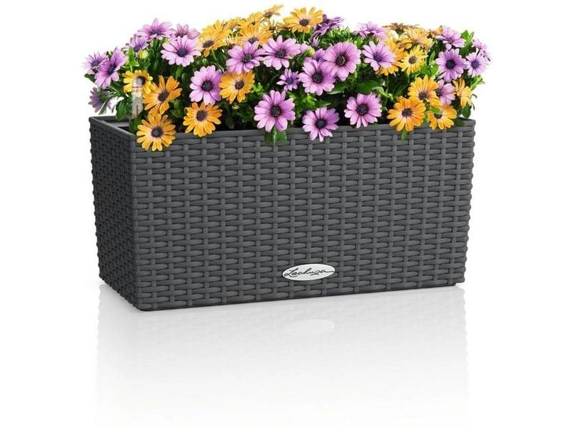 Lechuza | BALCONERA Cottage 40 | 6 l