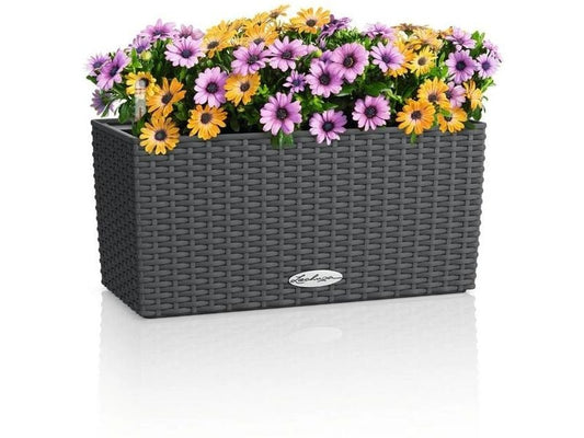 Lechuza | BALCONERA Cottage 40 | 6 l