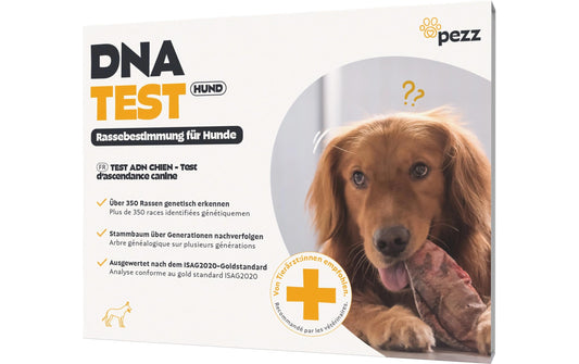 Pezz DNA-Test Rassebestimmung