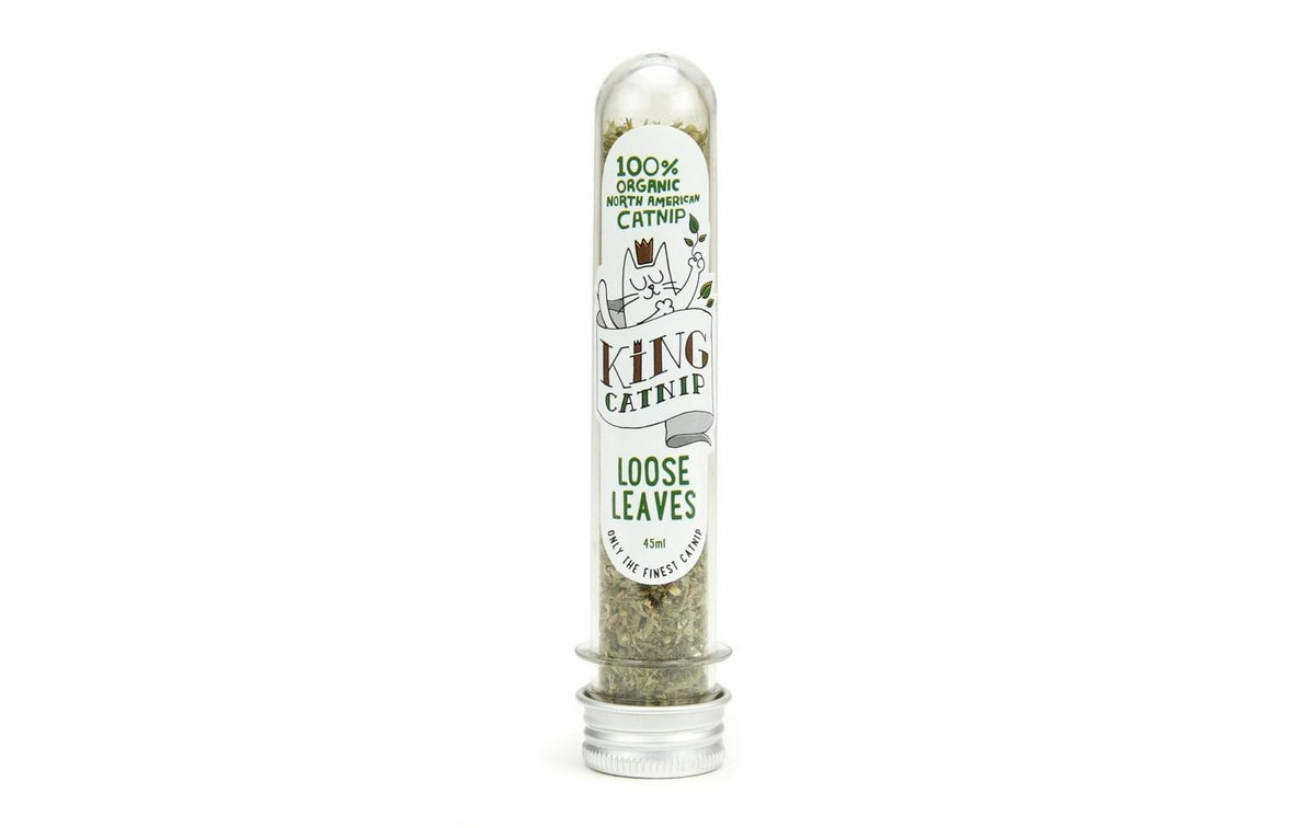 King Catnip Refill Glas