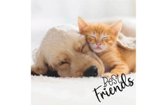 Paper+Design Servietten Dog & Cat