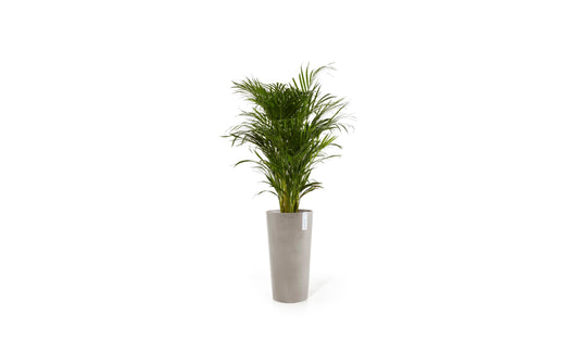 Ecopots | Amsterdam High | Robuster und langlebiger Blumentopf