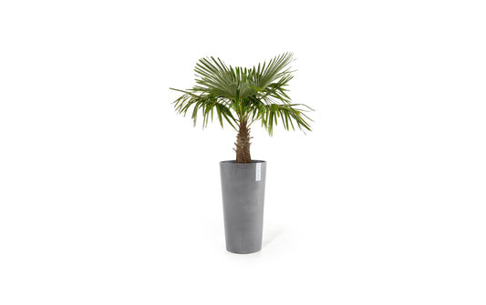 Ecopots | Amsterdam High | Robuster und langlebiger Blumentopf