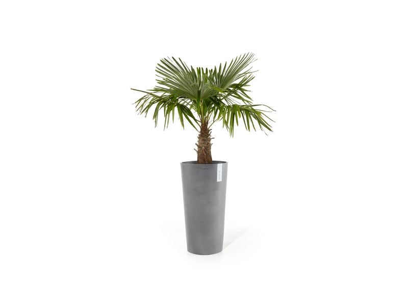 Ecopots | Amsterdam High | Robuster und langlebiger Blumentopf