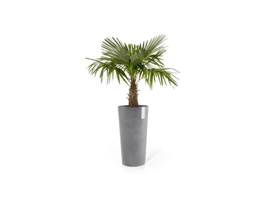Ecopots | Amsterdam High | Robuster und langlebiger Blumentopf