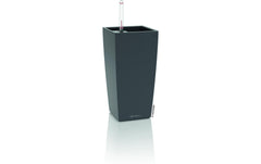 Lechuza | MAXI-CUBI