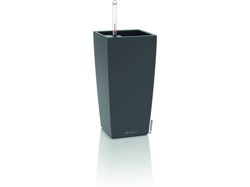Lechuza | MAXI-CUBI