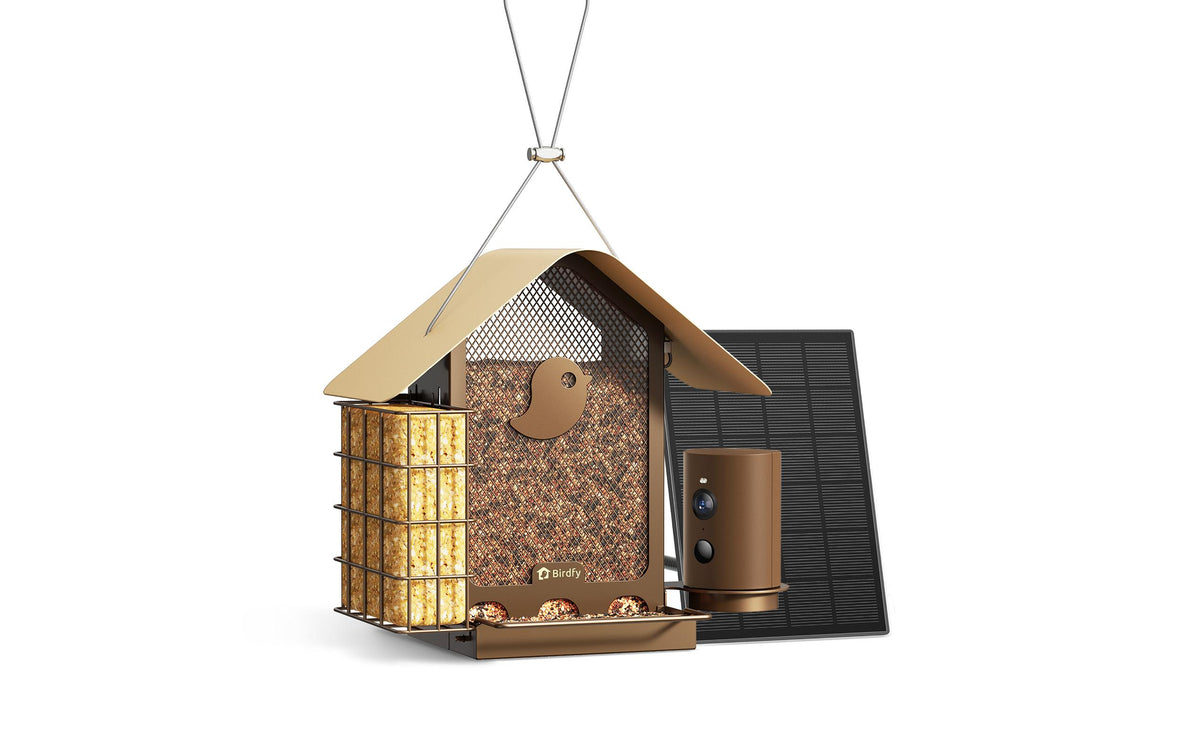 Birdfy Futterspender Metall V 1080PHD