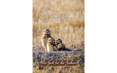 Cart Glückwunschkarte Abschied