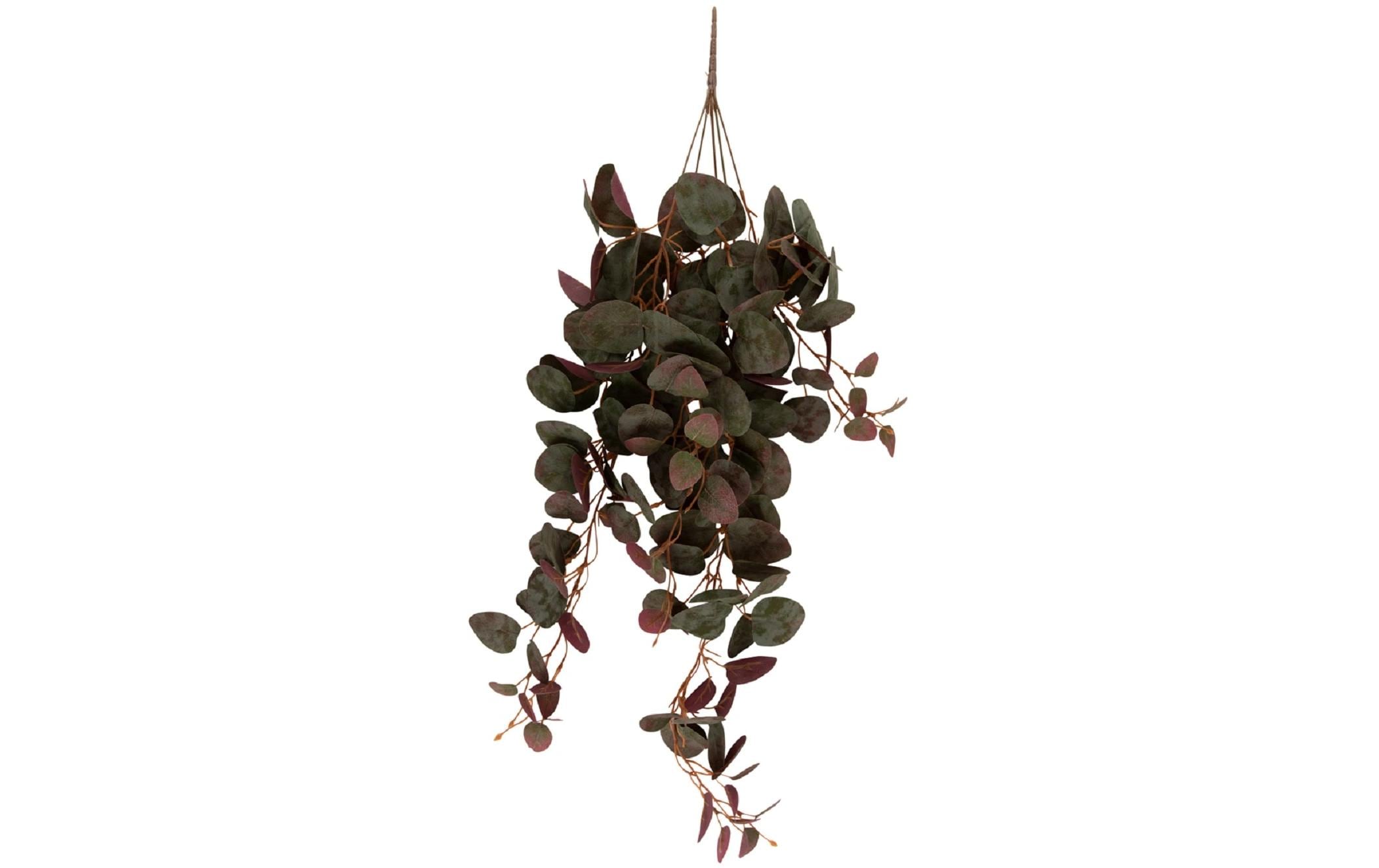 present time Kunstplanze Ceropegia