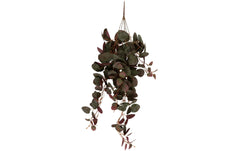 present time Kunstplanze Ceropegia