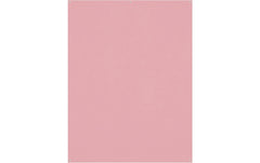 Westcott | X-Drop Pro Backdrop | Blush Pink - Wrinkle-Resistant 5 x 7