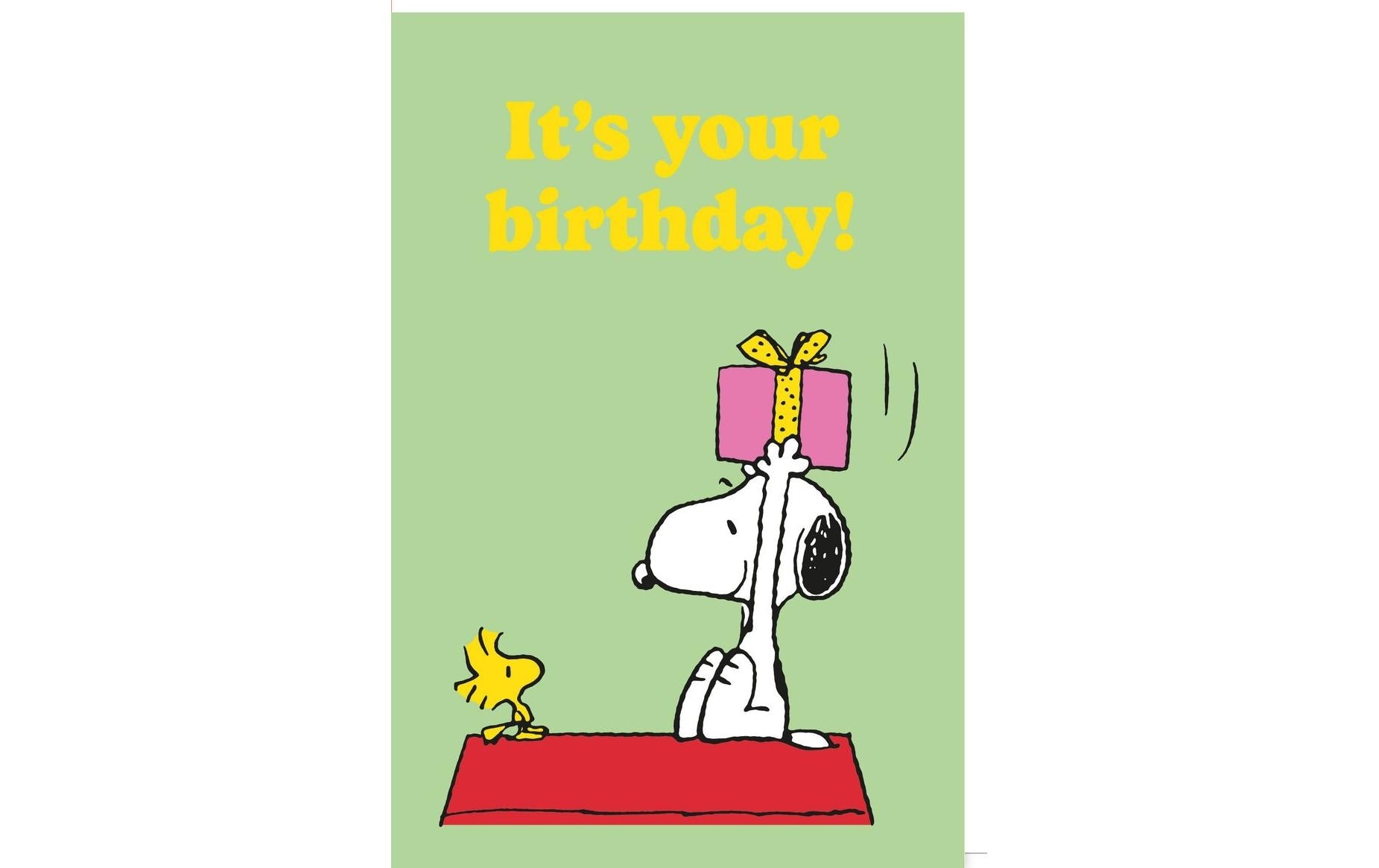 B+C Geburtstagskarte Snoopy