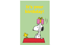 B+C Geburtstagskarte Snoopy