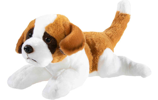 MISANIMO Bernhardiner
