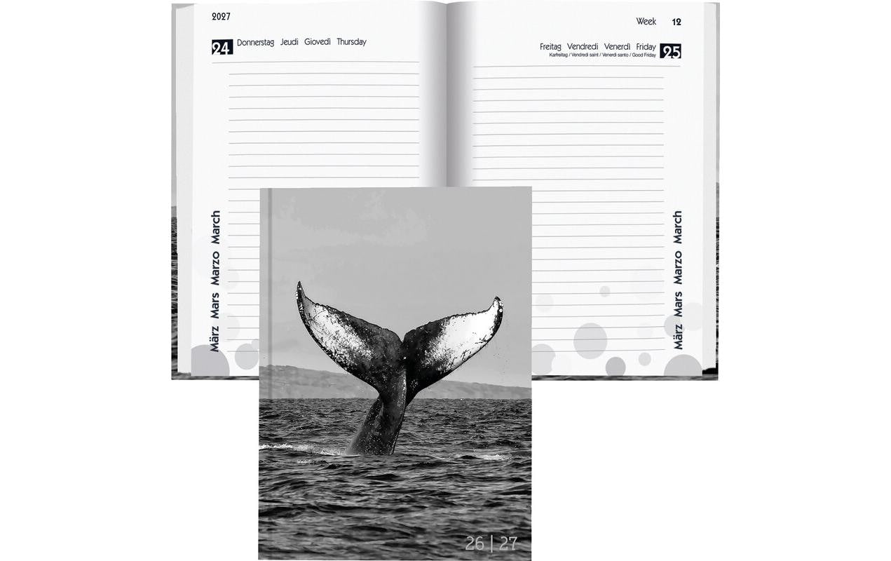 Biella Schüleragenda  2026/27 Whale