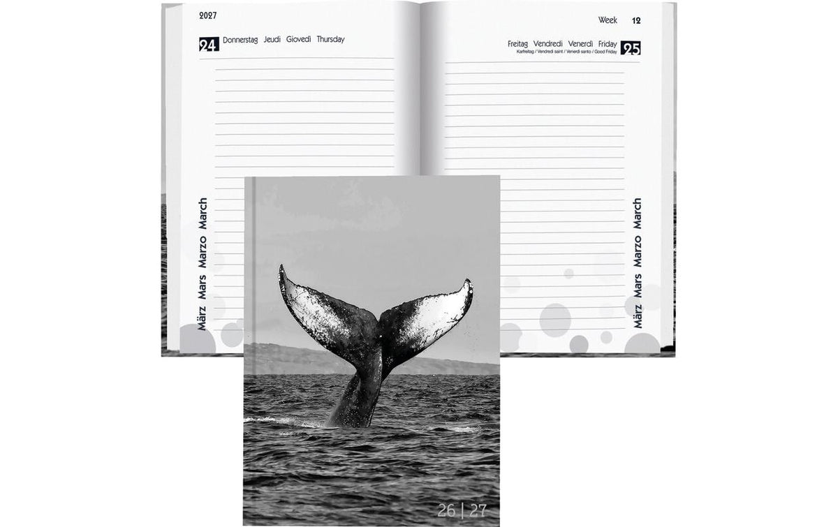 Biella Schüleragenda  2026/27 Whale