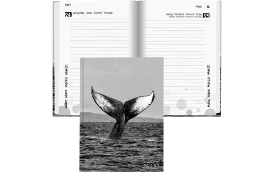 Biella Schüleragenda  2026/27 Whale