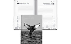 Biella Schüleragenda  2026/27 Whale