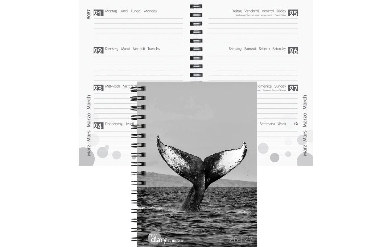 Biella Schüleragenda 2026/27 Whale