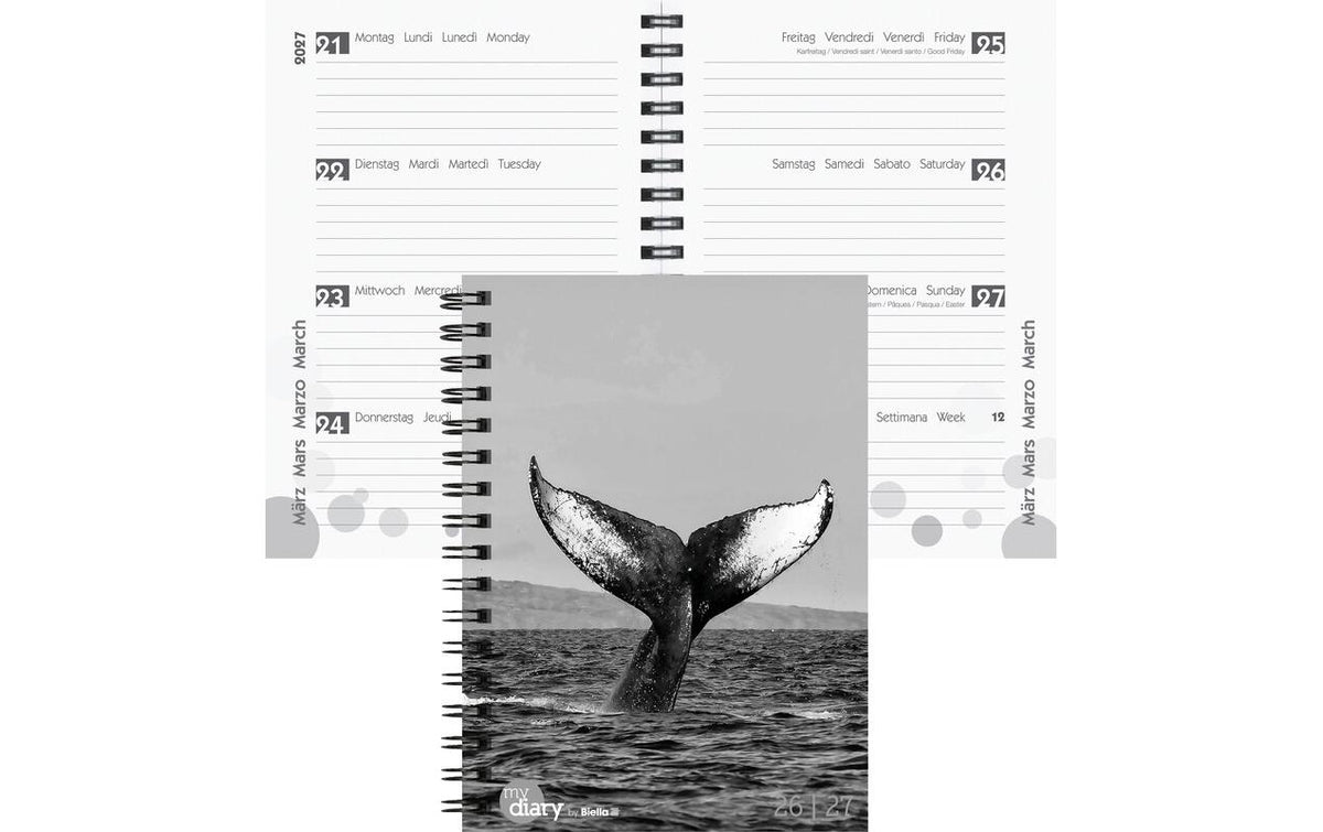 Biella Schüleragenda 2026/27 Whale