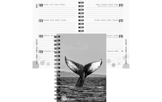 Biella Schüleragenda 2026/27 Whale