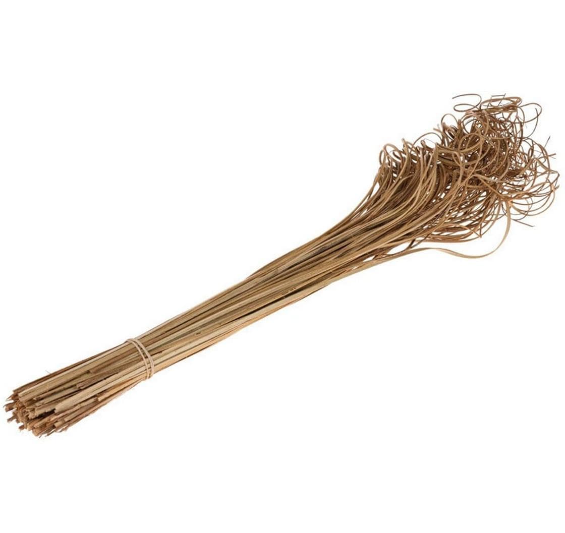 Opiflor Curly Ting