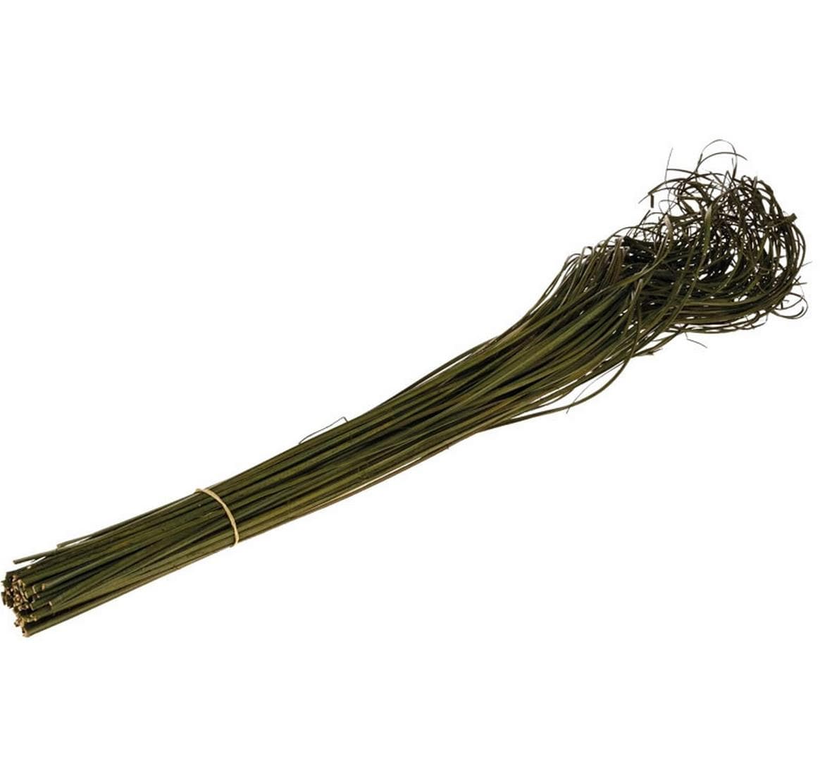 Opiflor Curly Ting