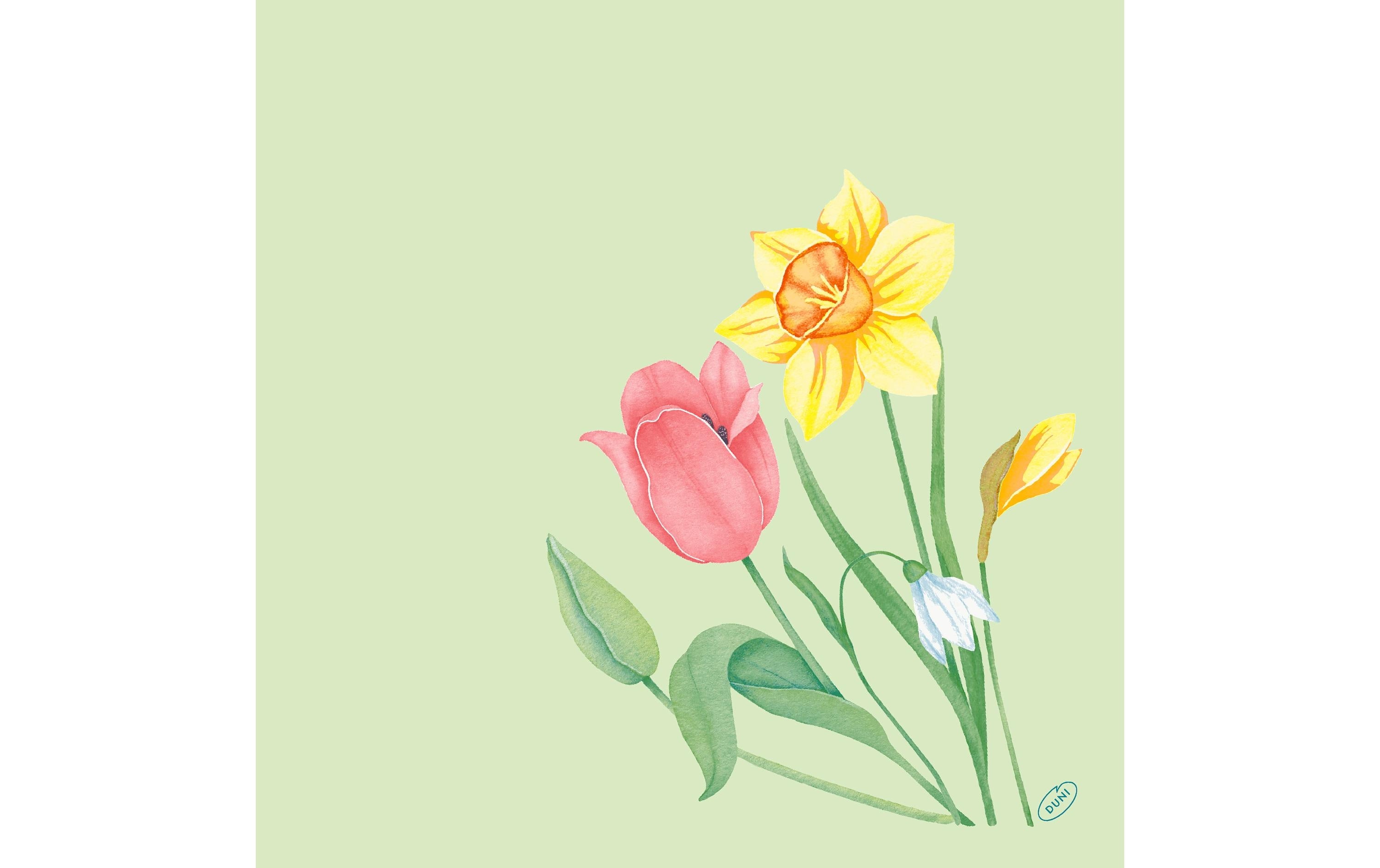 Duni Servietten Bio DSF Spring Melody