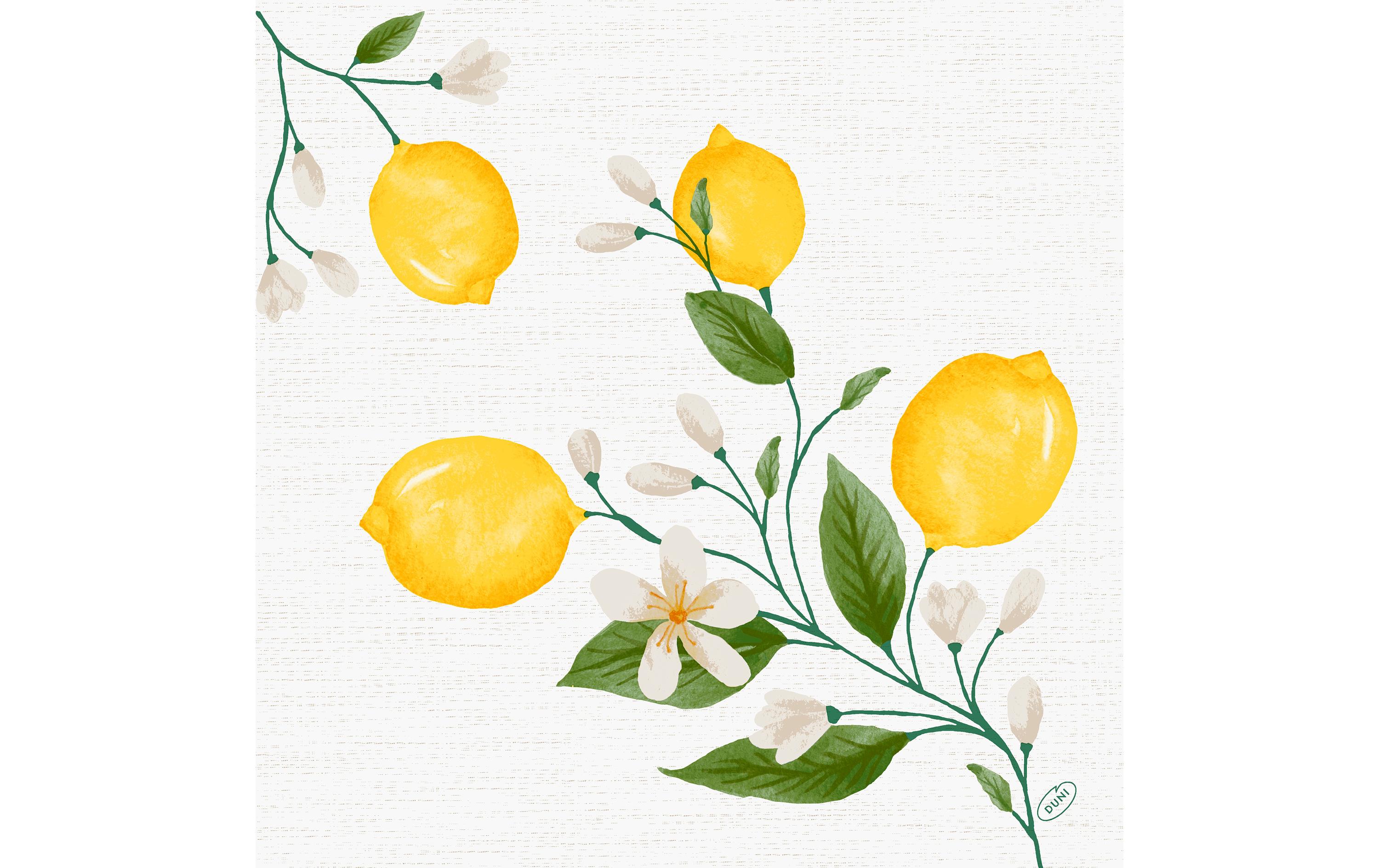 Duni Servietten Bio DSF Lemon Fiesta