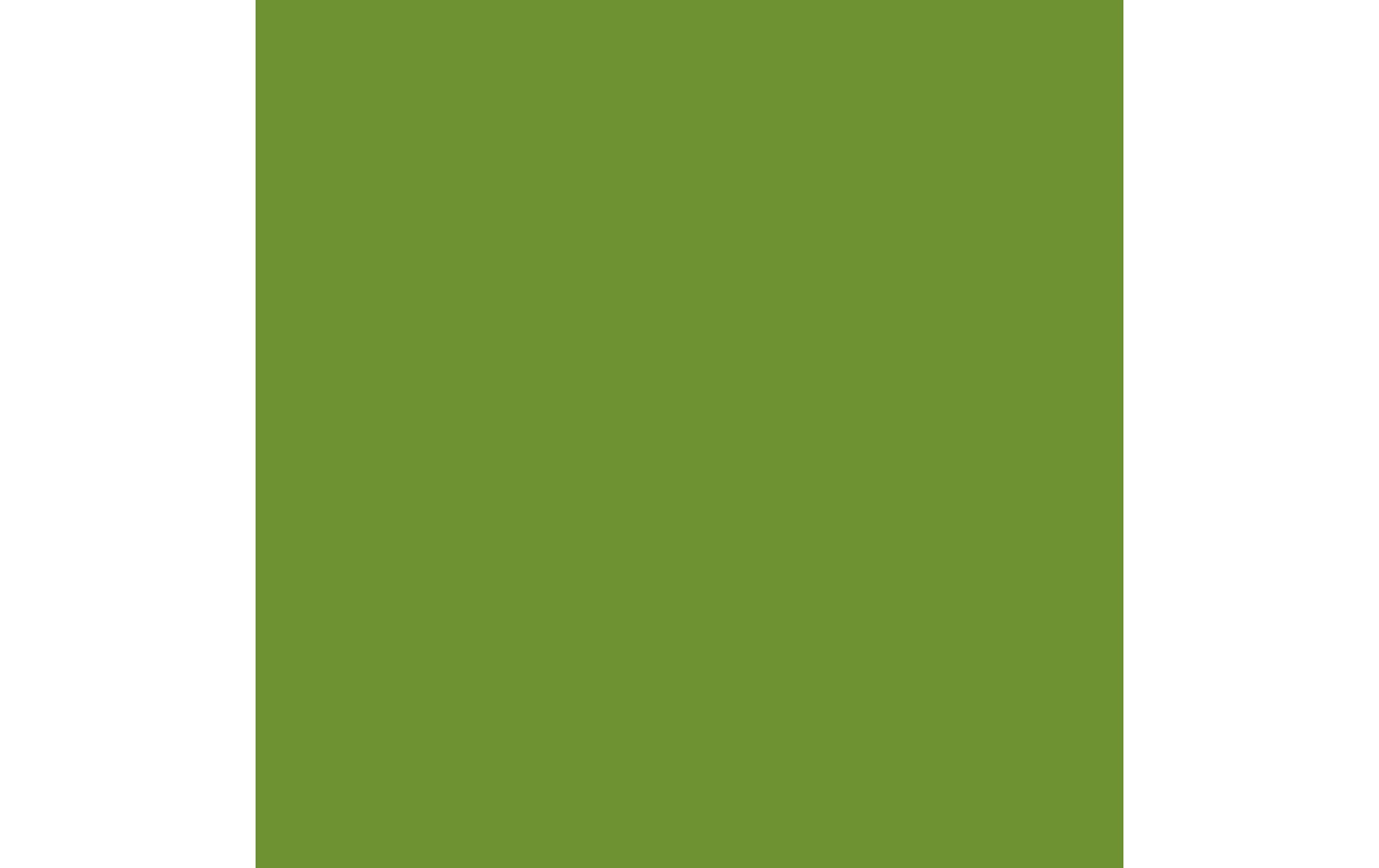 Duni Servietten Bio DSF leaf green