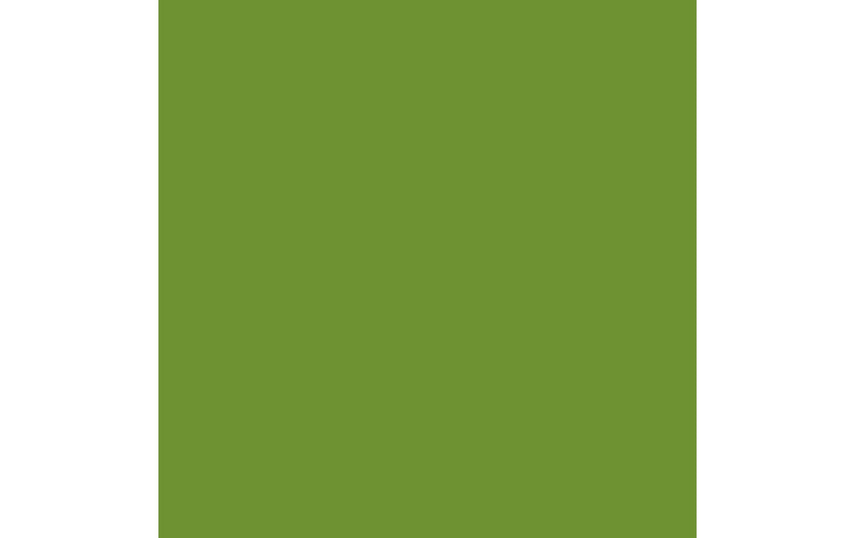 Duni Servietten Bio DSF leaf green