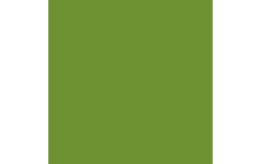 Duni Servietten Bio DSF leaf green