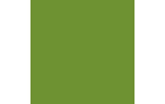 Duni Servietten Bio DSF leaf green