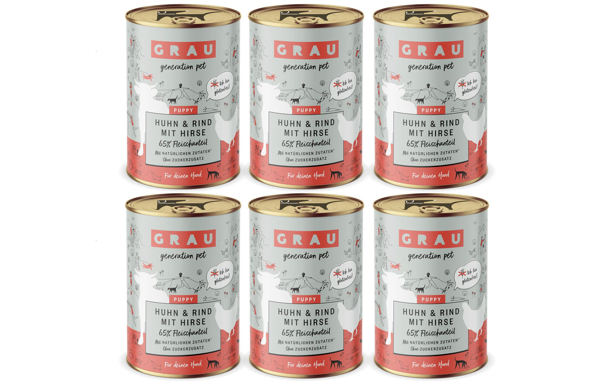 Grau Dog Puppy Huhn + Rind + Hirse KIT