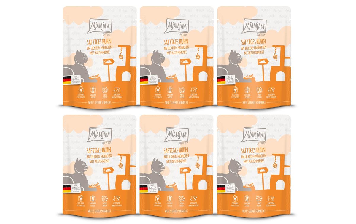 Mjamjam Cat Quetschie leckere Mahlzeit KIT