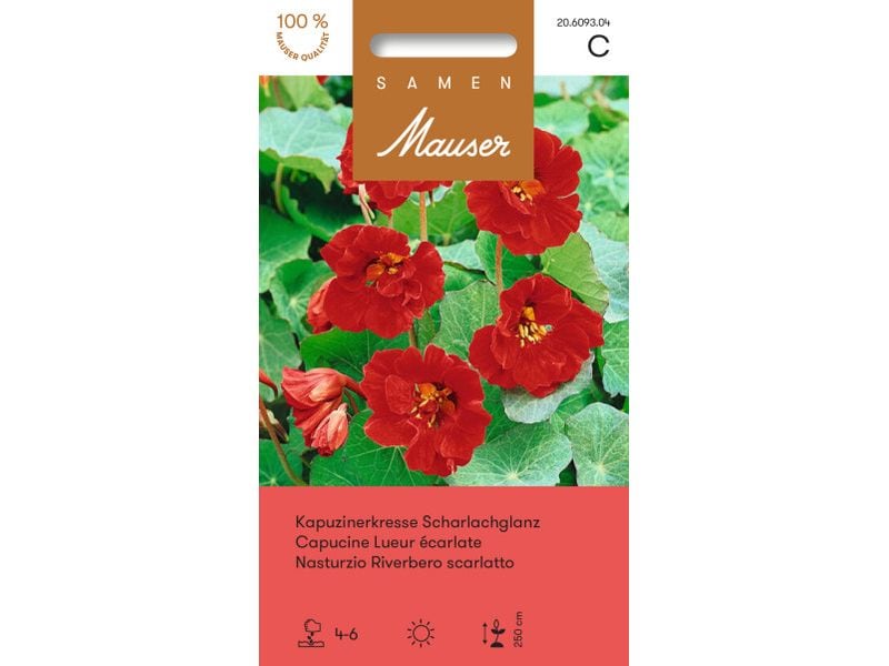 Samen Mauser | Kapuzinerkresse Scharlachglanz | Tropaeolum majus