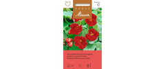 Samen Mauser | Kapuzinerkresse Scharlachglanz | Tropaeolum majus
