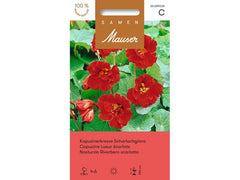 Samen Mauser | Kapuzinerkresse Scharlachglanz | Tropaeolum majus