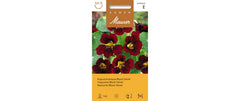 Samen Mauser | Kapuzinerkresse Black Velvet | Tropaeolum minus