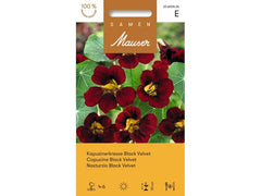 Samen Mauser | Kapuzinerkresse Black Velvet | Tropaeolum minus