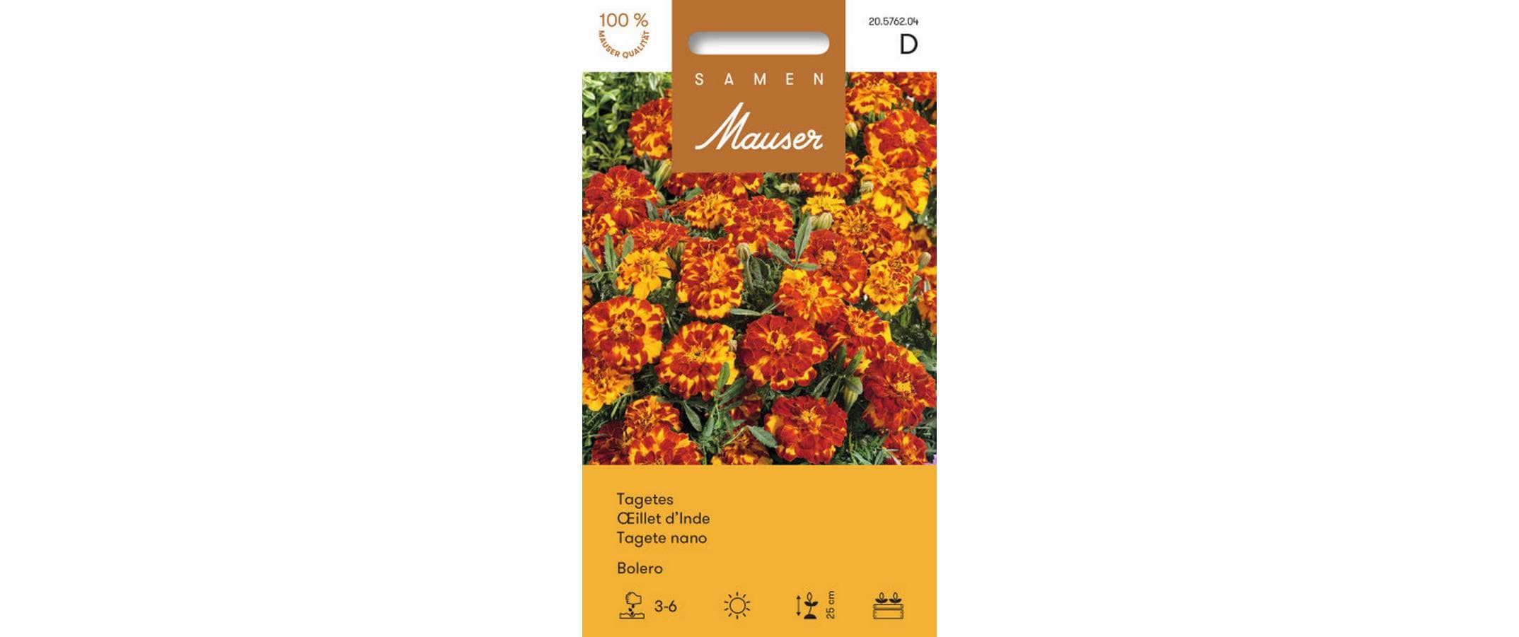 Tagetes Bolero