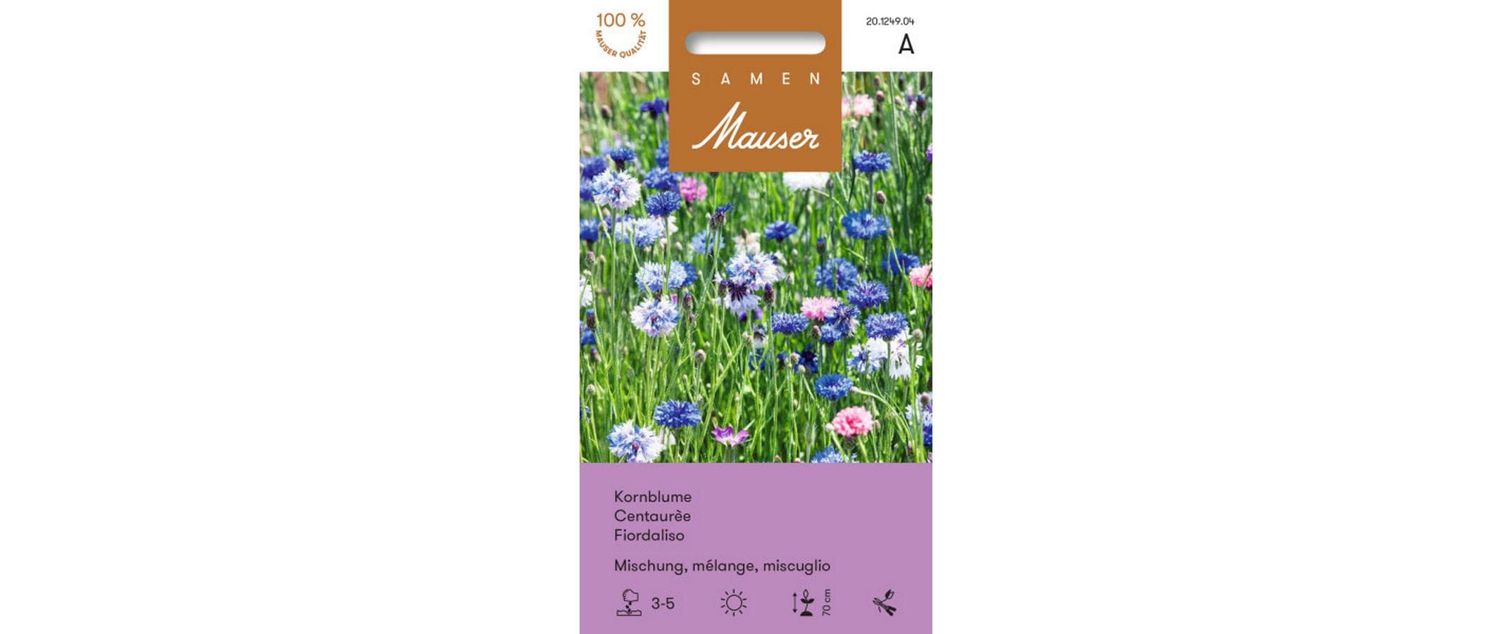 Kornblume Mischung