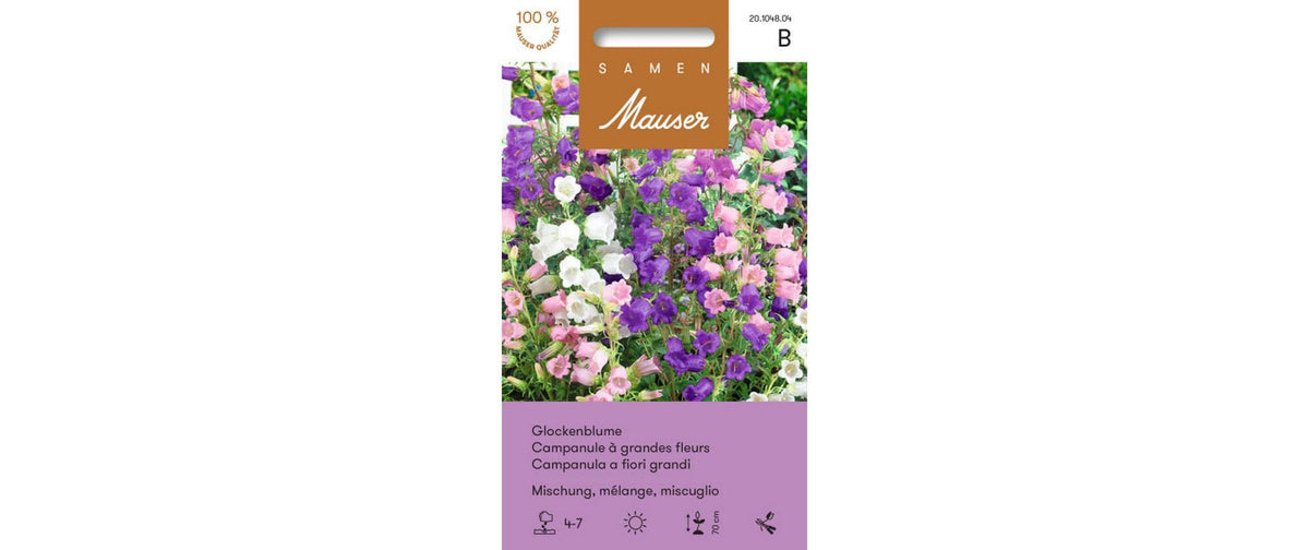Glockenblume grossblumige Mischung