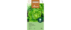 Kopfsalat Ovation